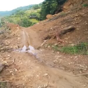 Terkena Bencana Longsor, Akses Jalan Desa Alur Subur Mulai Dapat Dilintasi