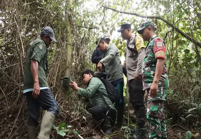 Dugaan Jejak Kaki Harimau, Pemkab Dairi - BBKSDA Pasang Kamera Trap