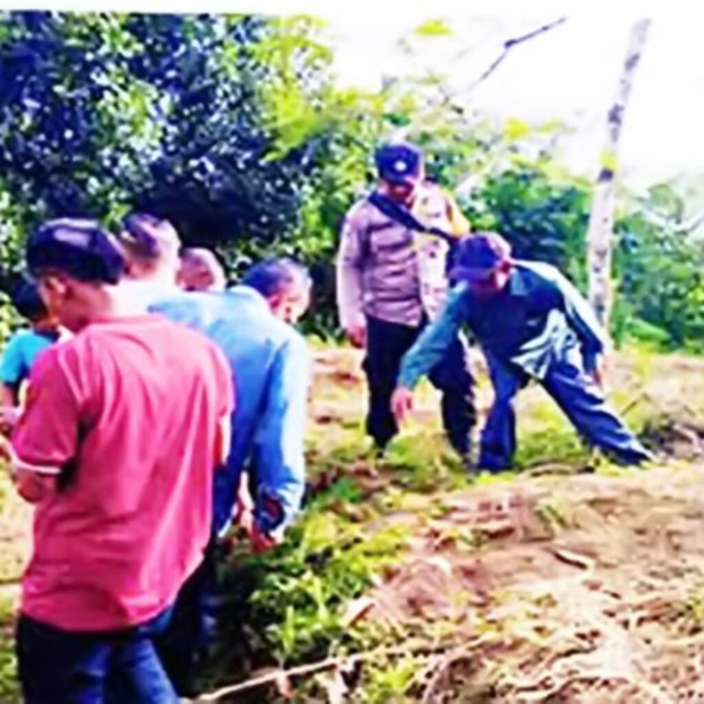 Heboh Penemuan Jejak Kaki Harimau, Pemkab Dairi Imbau Masyarakat agar Waspada