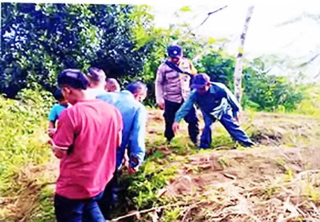 Heboh Penemuan Jejak Kaki Harimau, Pemkab Dairi Imbau Masyarakat agar Waspada