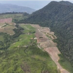 Banjir di Parapat, Mencuat Dugaan Pemda Lalai Awasi Tata Ruang DAS Bolon Simalungun