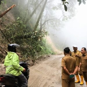 Wabup Dairi Tinjau Longsor di Kecamatan Silahisabungan