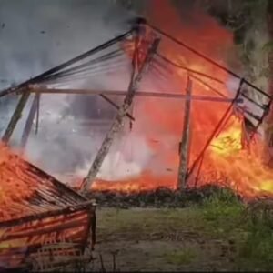 Tim Gabungan Satreskrim Polrestabes Medan Hancurkan Lokasi Judi Sabung Ayam