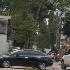 Dinas SDABMBK Tebang Pohon Diduga Kepentingan Bisnis