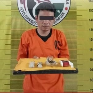 Berkat Pengembangan Kasus Diciduk Tersangka Pengedar Ganja