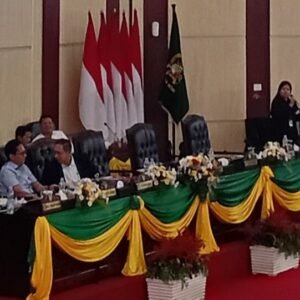 Fraksi NasDem Setujui Pencabutan Perda RDTR Medan