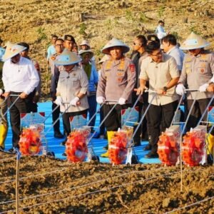 Tanam Jagung Serentak, DPR RI Apresiasi Polri