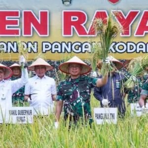 Panglima TNI Panen Raya Padi Di Lahan Kodam I/BB Deli Serdang