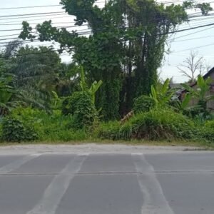 Diduga Diatas Harga Pasar, Jaksa Diminta Periksa Pengadaan Tanah UPT Damkar Medan Rp2,6 Miliar