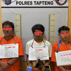Ungkap Peredaran Ganja, 3 Tersangka Diringkus Satres Narkoba